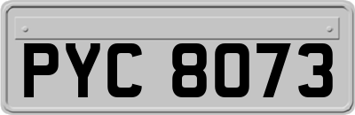 PYC8073