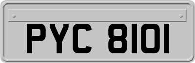 PYC8101