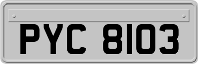 PYC8103