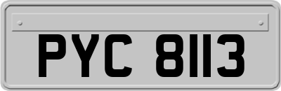 PYC8113