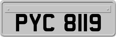 PYC8119