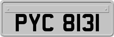 PYC8131