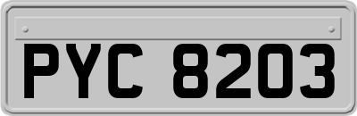 PYC8203