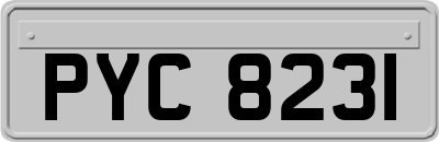 PYC8231