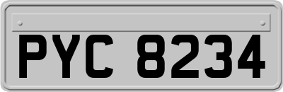 PYC8234