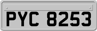 PYC8253