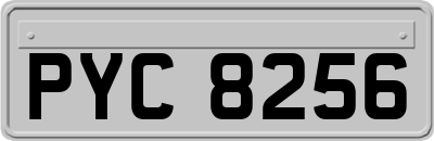 PYC8256