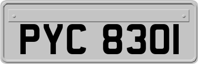 PYC8301