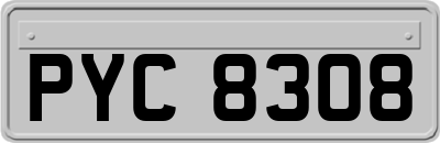 PYC8308