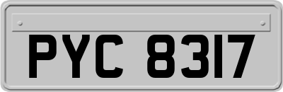 PYC8317