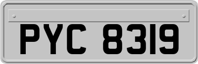 PYC8319