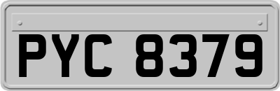 PYC8379