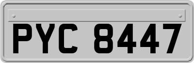 PYC8447