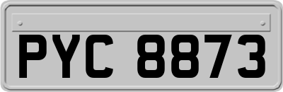 PYC8873