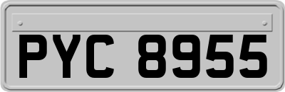 PYC8955