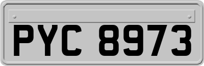 PYC8973