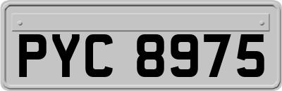 PYC8975