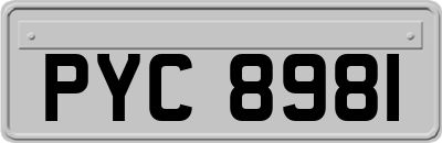 PYC8981