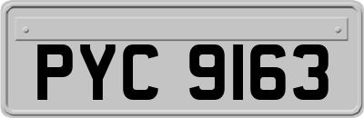 PYC9163