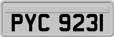 PYC9231