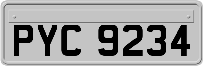 PYC9234