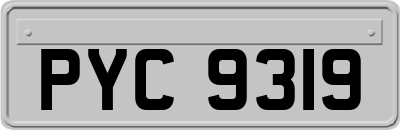 PYC9319