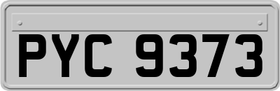 PYC9373