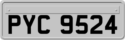 PYC9524