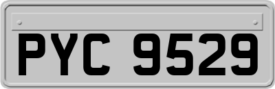 PYC9529