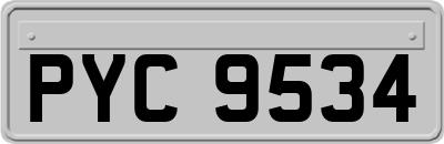 PYC9534