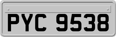 PYC9538