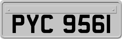 PYC9561