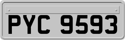 PYC9593