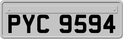 PYC9594