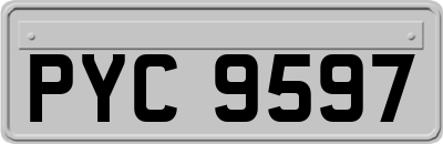 PYC9597