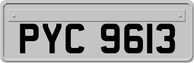 PYC9613