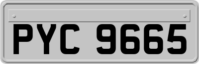 PYC9665