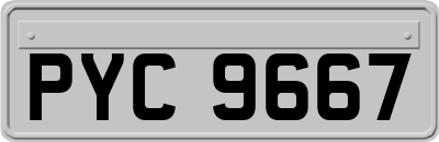 PYC9667