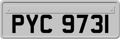 PYC9731