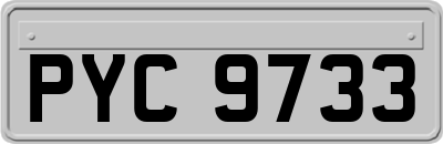 PYC9733