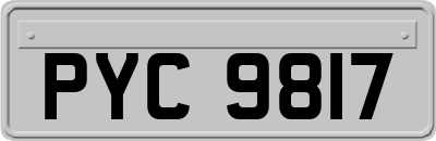 PYC9817