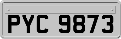 PYC9873