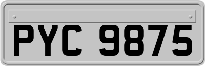 PYC9875