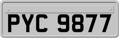 PYC9877