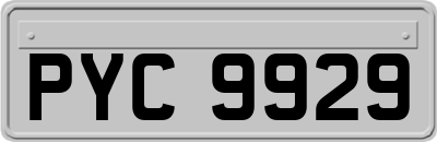 PYC9929