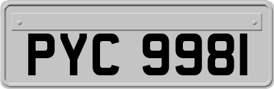 PYC9981