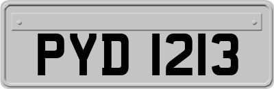 PYD1213