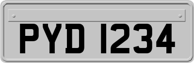 PYD1234