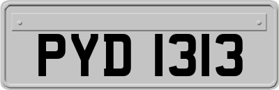 PYD1313