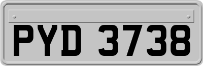 PYD3738